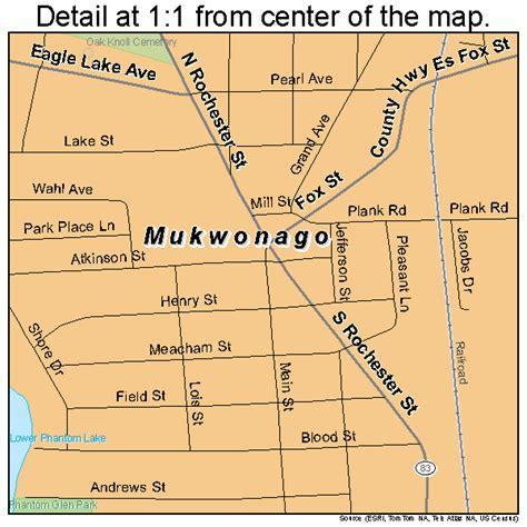 Mukwonago Wisconsin Street Map 5555050