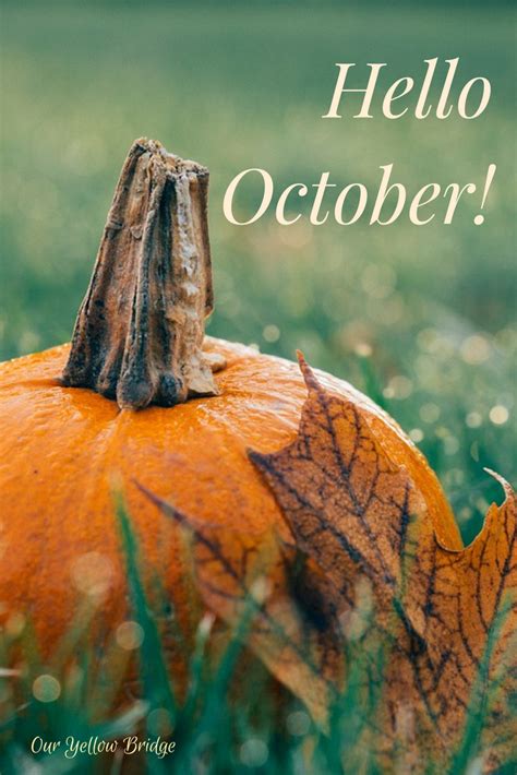 Hello October! Pumpkins, Crunchy Leaves, Cooler Evenings and Beautiful Changes! #October1st Our ...