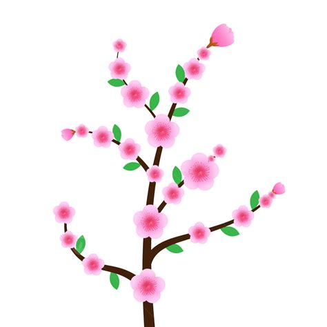 Cherry Blossom Branch Vector Hd Images, Pink Color Cherry Blossom Tree Branch Png Transparent ...
