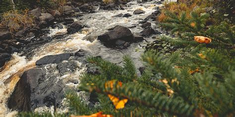 Best Lutsen Hiking Trails | Caribou Highlands Lodge