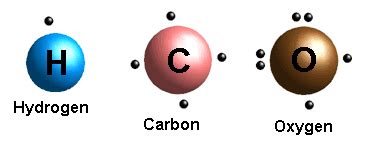 IGCSE Biology: 2.5 Identify the chemical elements present in ...