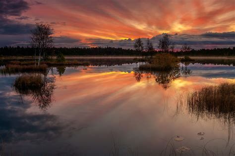 Lake Laanemaa at Orkjärve Nature Reserve, Estonia by Wikimedia Commons