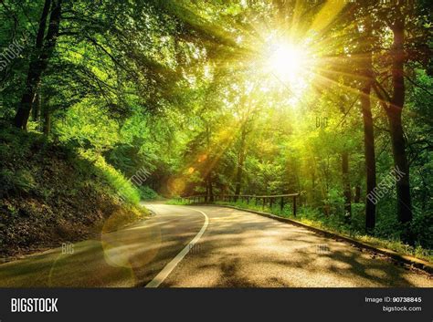 Scenic Road Forest Image & Photo (Free Trial) | Bigstock