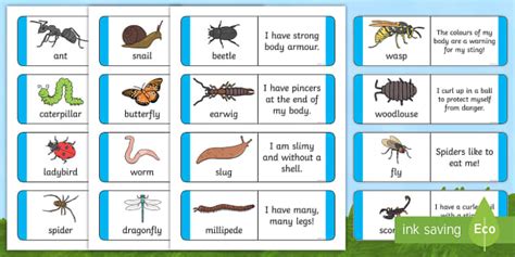 Minibeast Description Cards (teacher made) - Twinkl