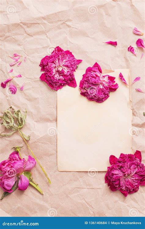 Flowers on Background Old Paper Stock Photo - Image of petal ...