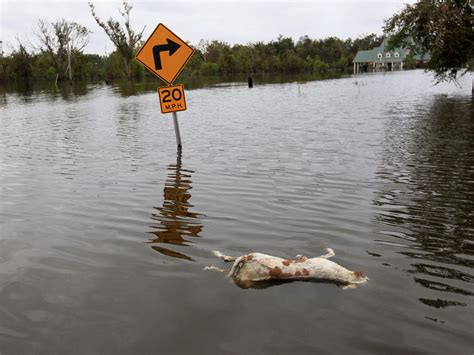 Hurricane Isaac and its aftermath - Photo 1 - Pictures - CBS News