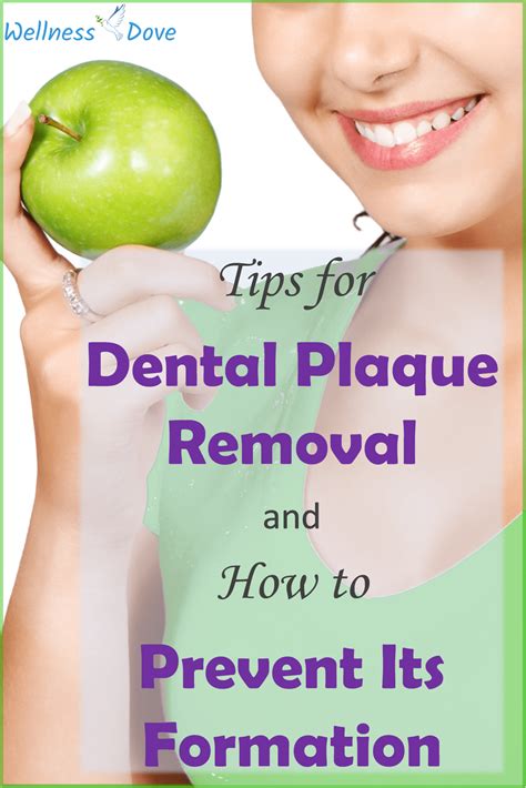 Dental Plaque Removal and How to Prevent Its Formation | WellnessDove