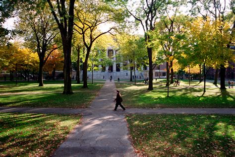 Harvard plans full return to campus life — Harvard Gazette