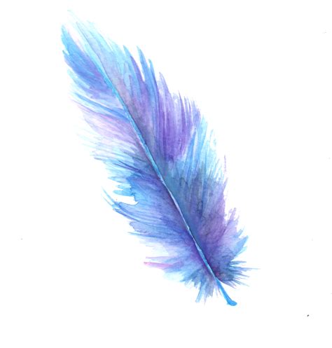 Download High Quality feather clipart transparent background ...