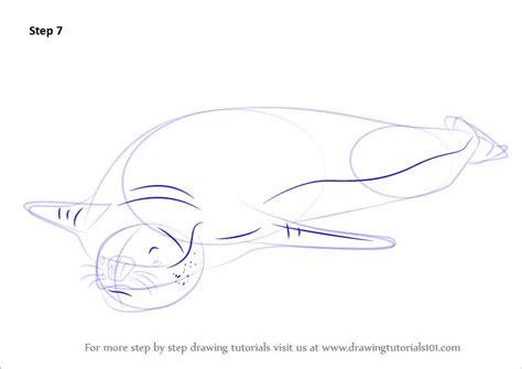 Learn How to Draw a Leopard Seal (Seals) Step by Step : Drawing Tutorials