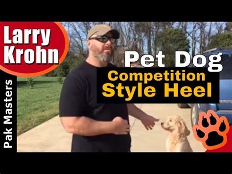 (1) How to teach an average pet dog a competition style heel - YouTube | Dog competitions, Pet ...