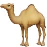 🐪 Camel emoji copy paste png download