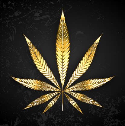 Gold Leaf Cannabis Stock Illustration - Download Image Now - iStock