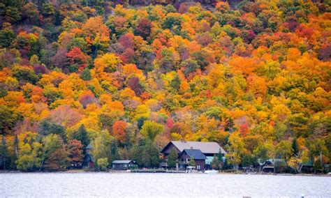 Old Forge Cabin Holiday Rentals - New York, United States | Airbnb