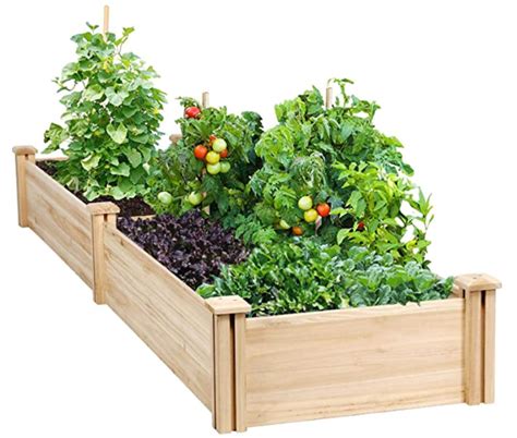 Raised Garden Bed Kit - EarthClub