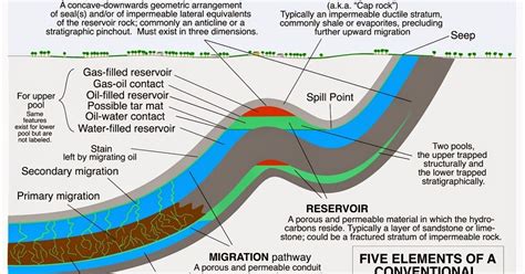 The Petroleum System