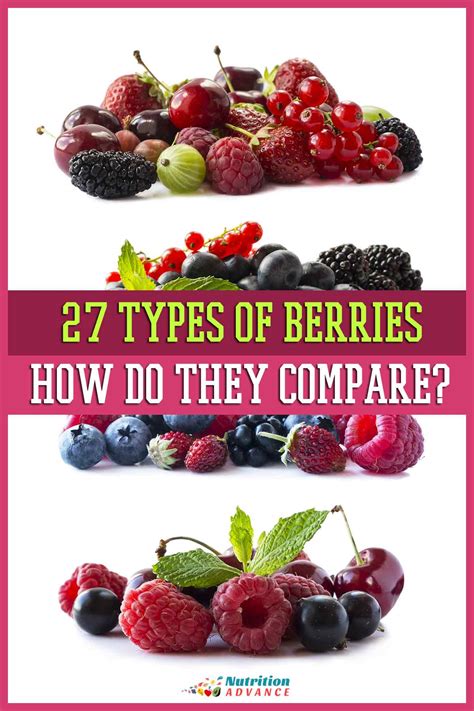 27 Different Types of Berries To Discover | Nutrition Advance