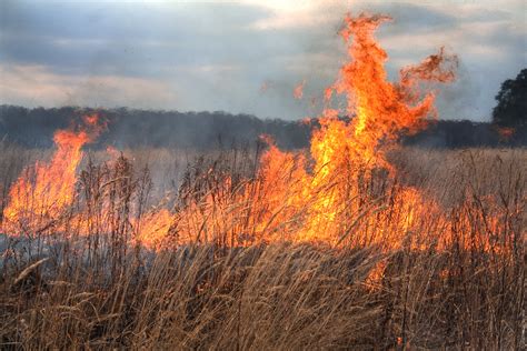 Field in Fire by Yolenzo on DeviantArt