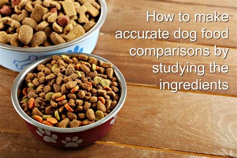 Dog Food Comparison Charts Information | eduaspirant.com