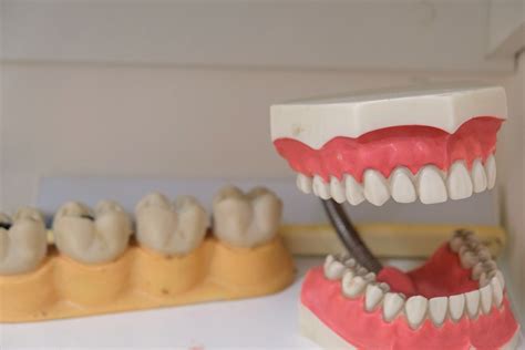 Denture Care: How to Clean and Maintain Your Dentures - upsmash