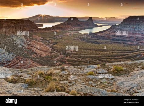 Gunsight Butte at Lake Powell, sunrise, view from Romana Mesa, Glen Canyon area, Utah, USA Stock ...