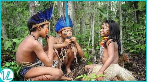 This Is How Tribes In The Amazon Rainforest Live! - YouTube