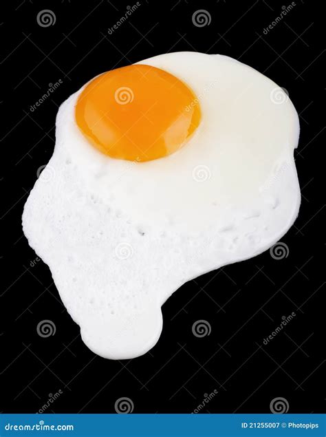 Fried egg stock image. Image of food, healthy, protein - 21255007