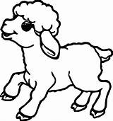 Sheep Outline Coloring Page  Home sketch template