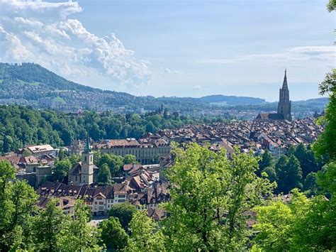 Rose Garden (Rosengarten) (Bern) - 2021 All You Need to Know Before You Go (with Photos) - Bern ...