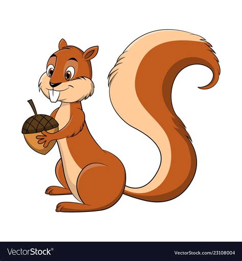 Beautiful cartoon drawing illustration of a Squirrel holding a nut. Download a Free Preview or ...