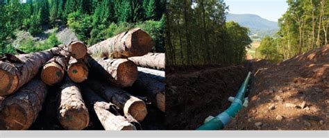 Anthropogenic impact: a) deforestation; b) construction of infrastructure | Download Scientific ...