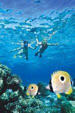 Maui Snorkeling Tours