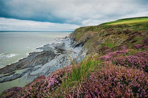 Cardigan Bay – A Dolphin’s Playground - Great British Coast