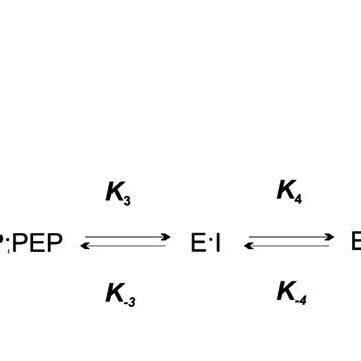 Equilibrium-ordered mechanism of EPSP Synthase (Modified from [85 ...