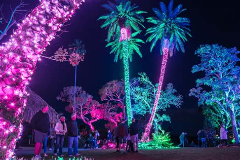 Night Lights in the Garden tickets on sale now - Happenings Magazine ...