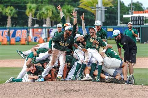 USF makes history with first-ever NCAA baseball regional title - The Tampa Bay 100