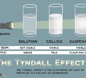 Colloid Milk