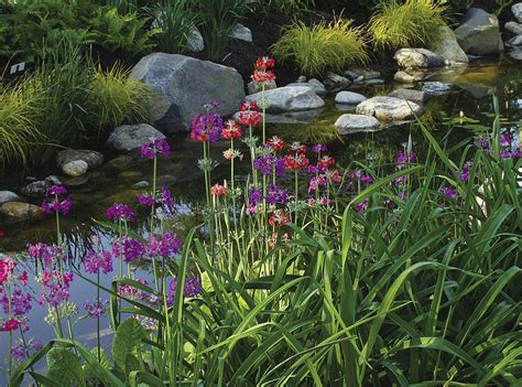 Plants for a Water Garden - FineGardening