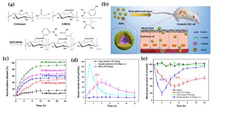 (a) Synthesis of chitosan-derivative, (b) Schematic illustration of ...