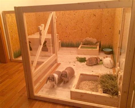 Manor pet housing for the hay rack and litter box. Indoor rabbits still need as much space as ...