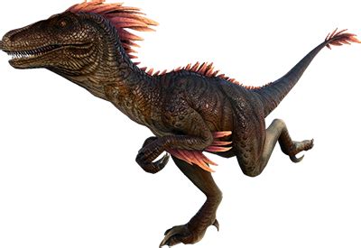 Where can i find them on ragnorrok | Raptor Tips | Dododex