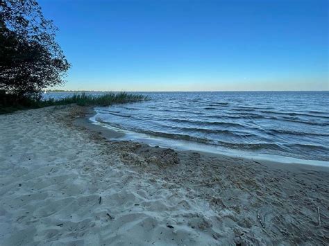 Dog Friendly Beaches in Arcachon - BeachAtlas