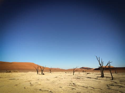 scenics - nature, park, water, sossusvlei, safari, clear sky, climate ...