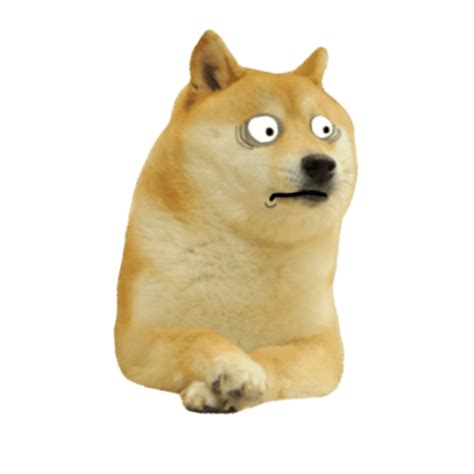 Scared doge Blank Template - Imgflip