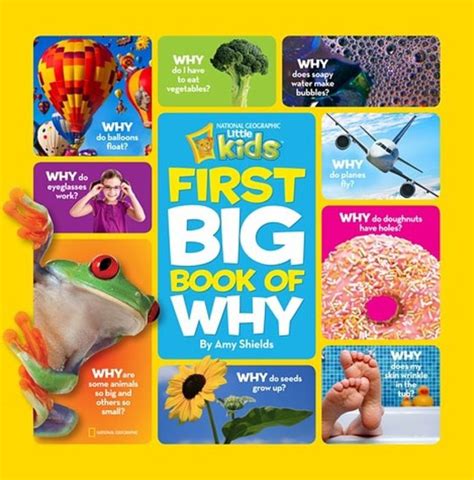 First Big Book of Why by Amy Shields | Scholastic