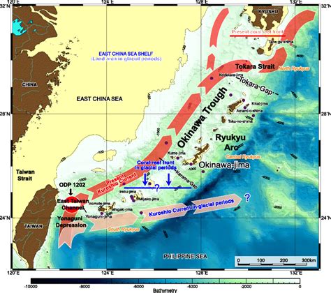 The Pliocene to Recent History of the Kuroshio and Tsushima Currents: a ...