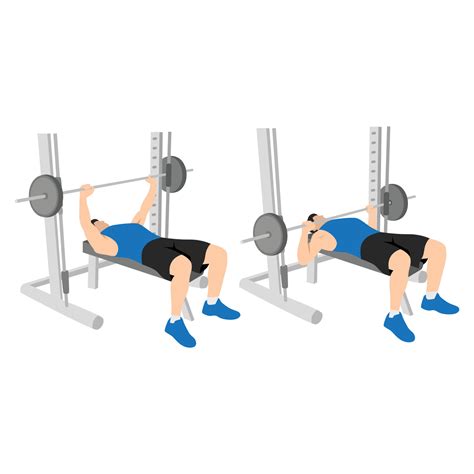 Man doing Incline Close grip barbell bench press exercise. Flat vector illustration isolated on ...