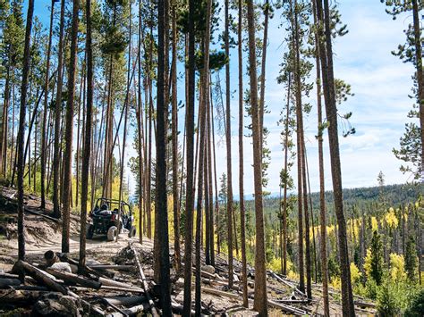 Beginner Trails: Arapaho National Forest - 5280