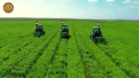 Al-Sisi inaugurates ‘Egypt’s Future’ project for agricultural production - Daily News Egypt