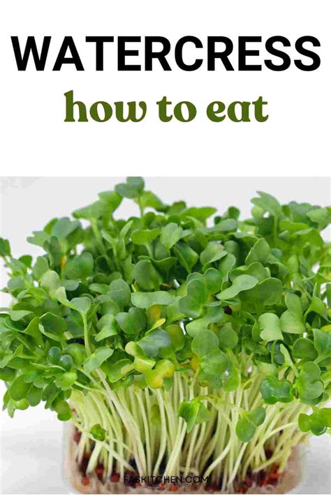 Watercress 101 - Benefits, How To Use, Buy, Store In Easy Way - Fas Kitchen